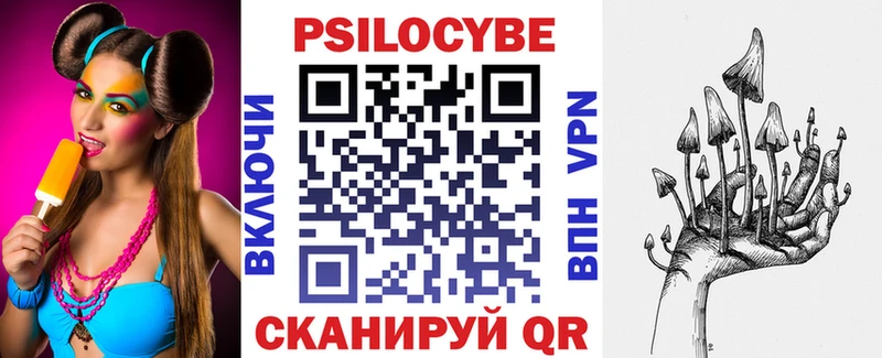 Купить  Андреаполь  Псилоцибиновые грибы ЛСД 